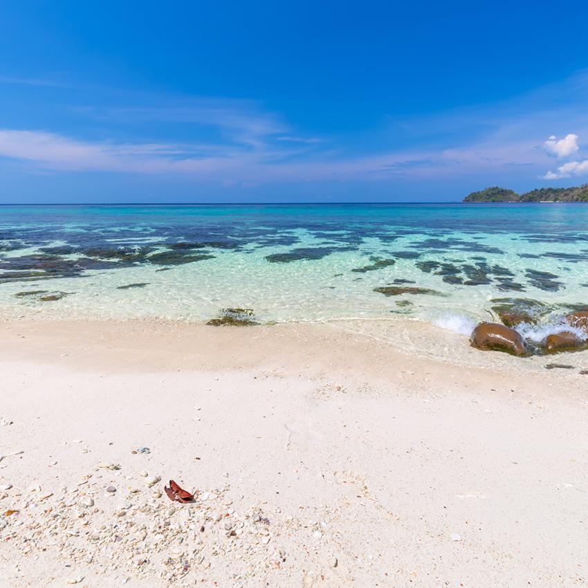 Toile de fond de saison Toile de fond d'été Toile de fond de vagues J05360