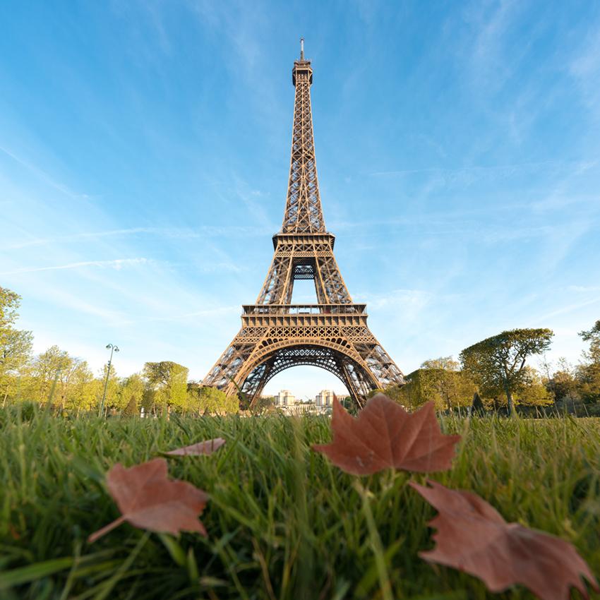 Paris Landmarks Eiffel Tower Green Grass Backdrop for Photography J05490