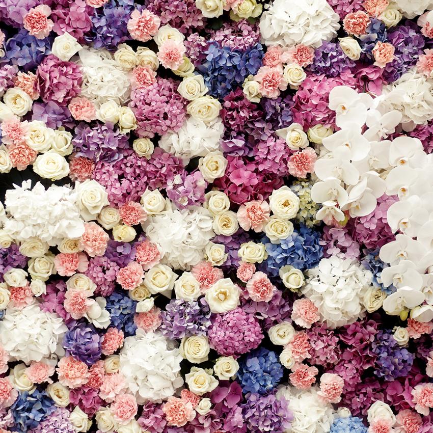 Belle Toile de fond de mur de fleurs pour photomaton LM-H00116