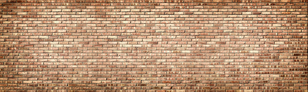 Toile de fond murale en brique photo booth LV-831