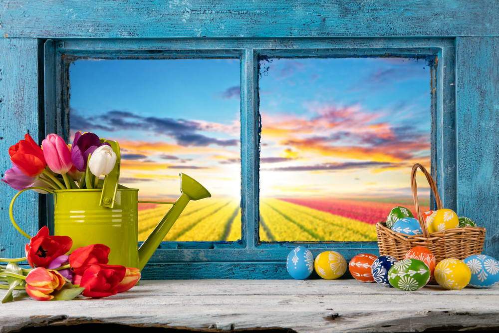 Easter Eggs Window Spring Flowers Backdrops for Studio MR-2226