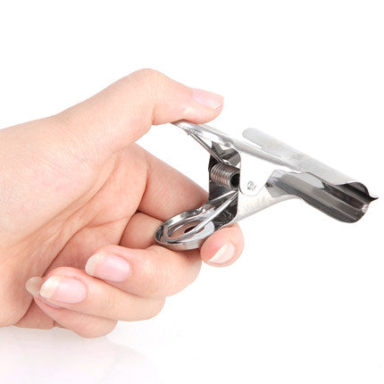 4 Pinces de Toile de Fond en Acier Inoxydable Accessoires PR5