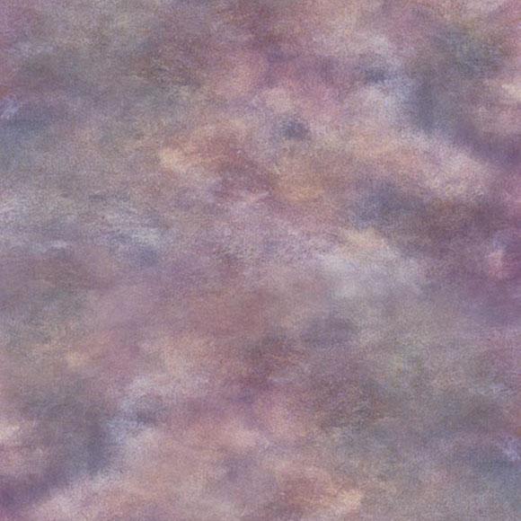 Toile de fond de photographie de portrait abstrait pour les photographes S-2884