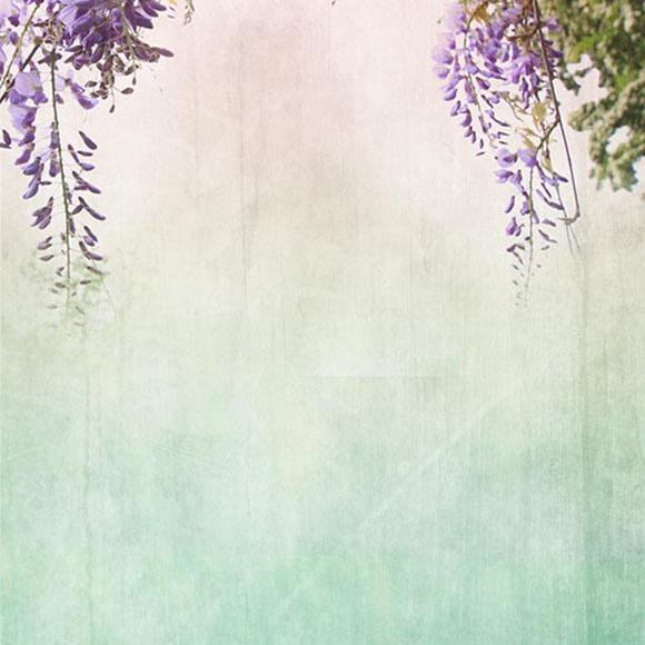 Toile de fond de photographie peinture art S2984S-2984