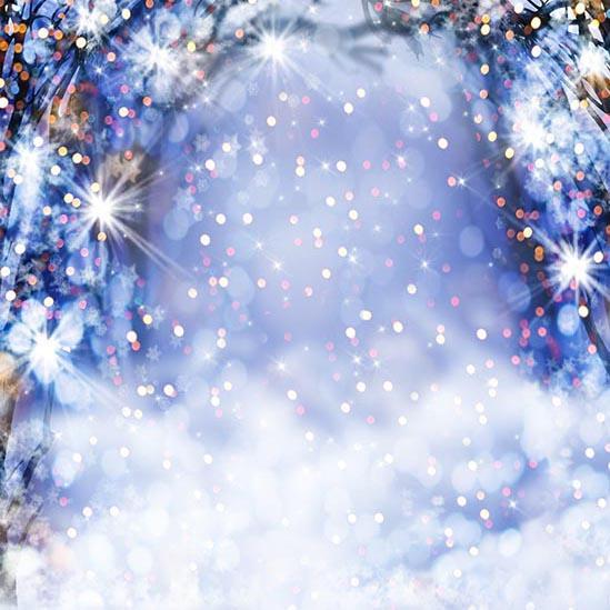 Toile de Fond de Neige Arbre d'Hiver pour la Photo S-3177