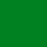 Toile de fond de couleur unie vert foncé pour le photomaton S3