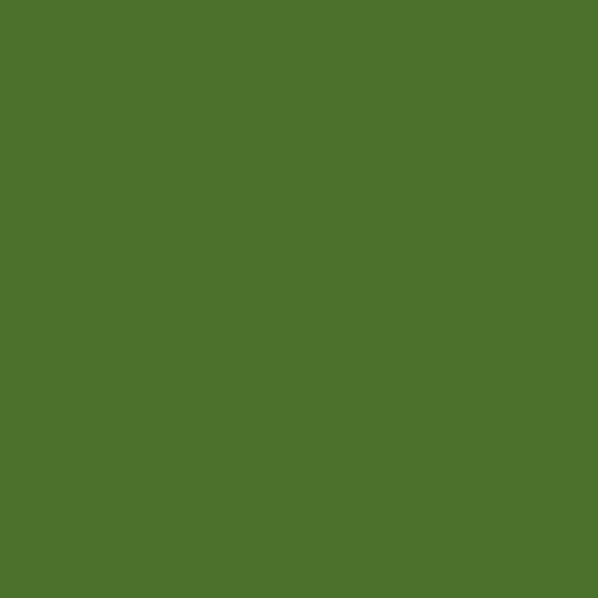 Toile de fond vert mousse solide pour Photo Studio SC27