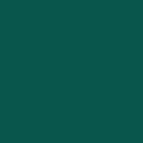Toile de fond vert foncé de couleur unie pour la photographie SC30