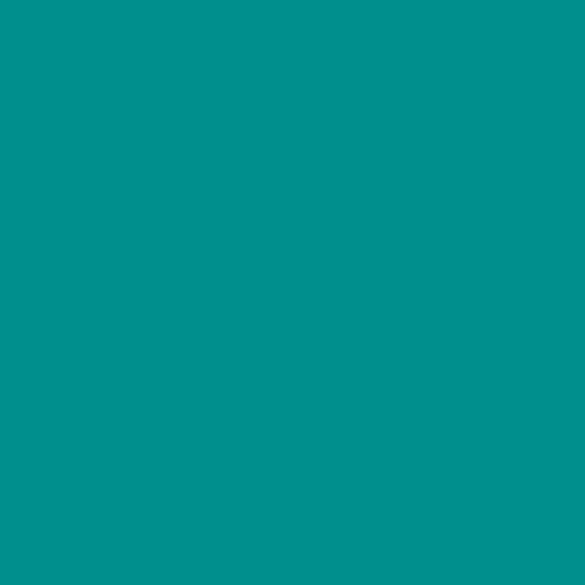 Toile de fond de couleur unie vert jungle pour la photographie SC31