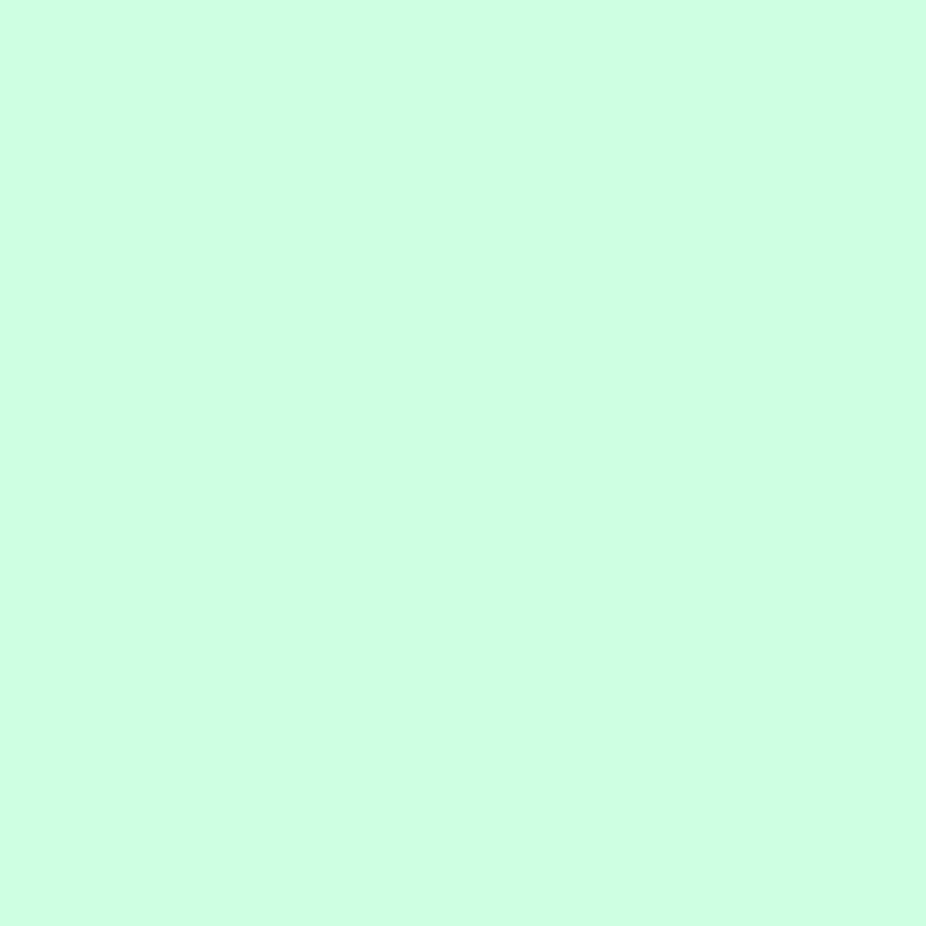 Toile de fond vert menthe de couleur unie pour photomatons SC35