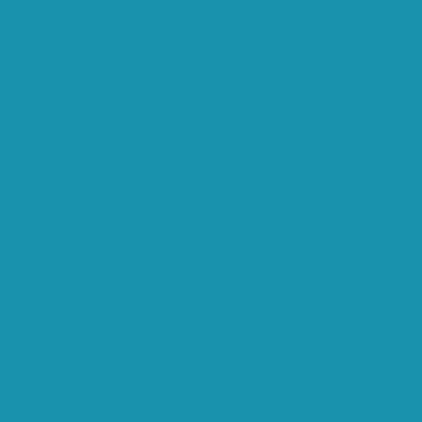 Fond de photographie couleur unie turquoise pour Studio SC411