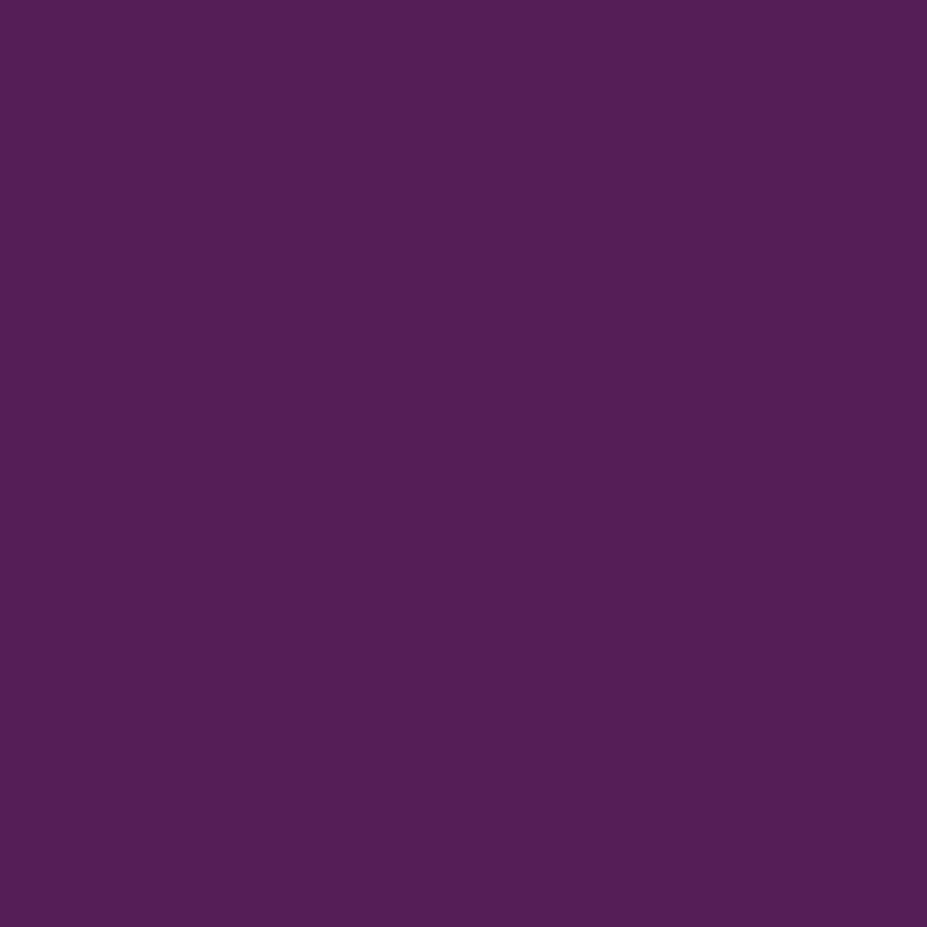 Toile de fond de photographie de raisin de couleur unie pour Photo Studio SC53