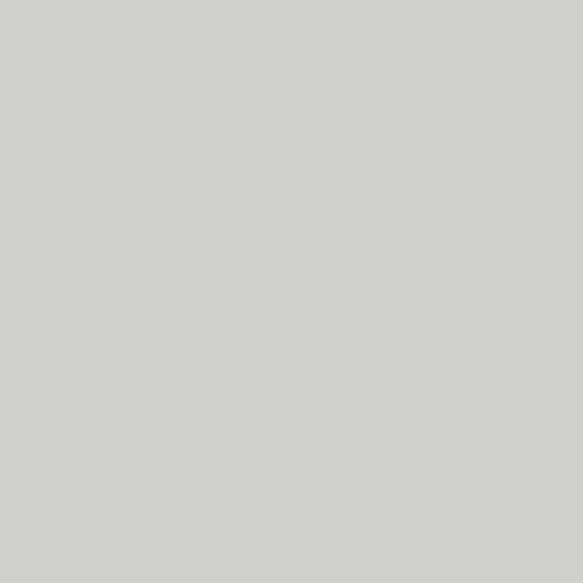 Toile de fond de couleur unie taupe pour Photo Studio SC60