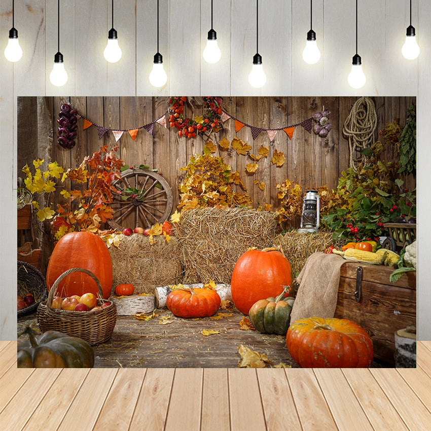 Fond de Photographie de Citrouilles de Foin D'Automne SH-1008
