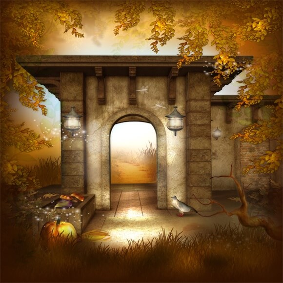 Halloween Autumn Backdrop for Photography