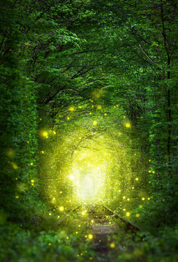 Toile de Fond de Tunnel de Scène d'arbres Fantastiques SH-969