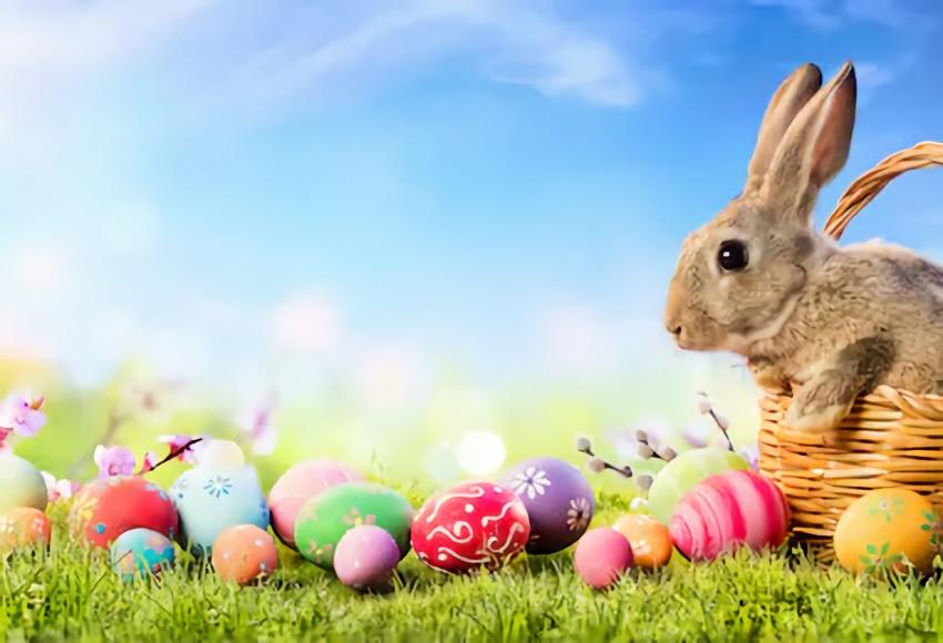 Colorful Easter Eggs Rabbit Spring Green Grass Photo Backdrop SH002