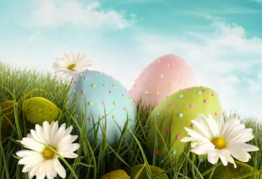 Spring Flowers Easter Eggs Backdrop for Photo Studio SH009