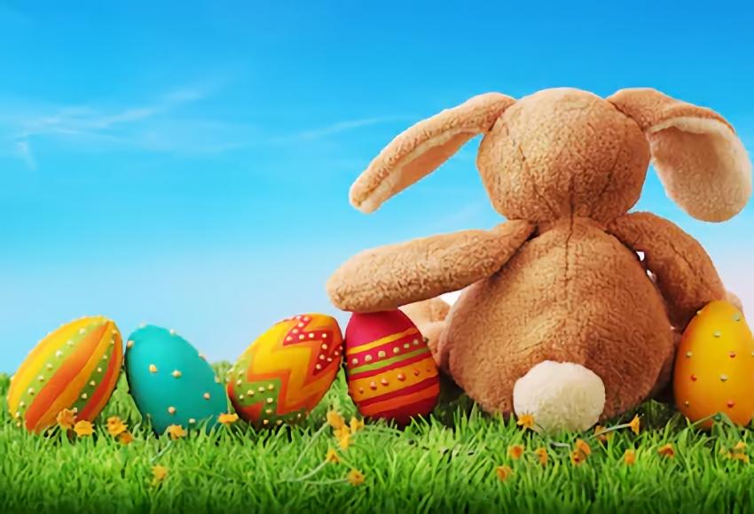 Toile de fond photo Joyeuse Pâques oeufs de lapin de Pâques herbe verte SH014