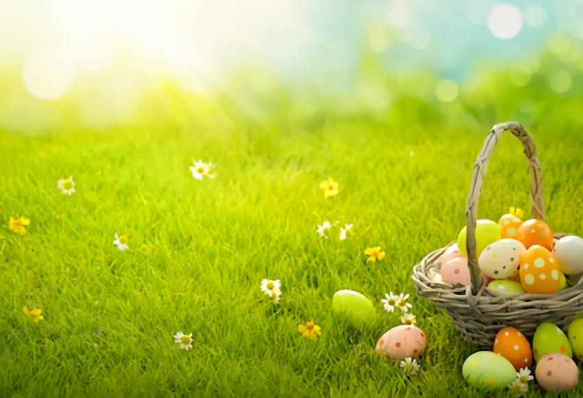 Easter Eggs Green Grass Photo Studio Backdrop SH085
