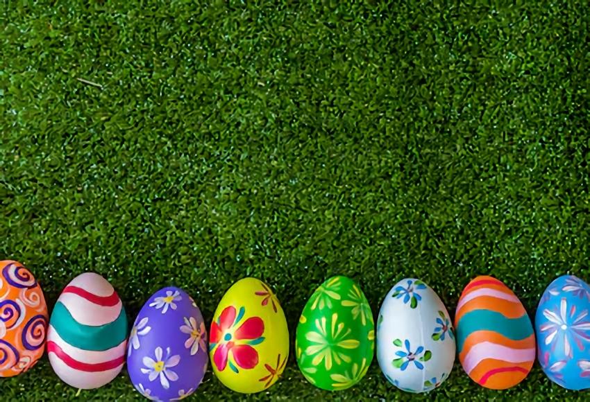 Colorful Easter Eggs Green Grass Photography Backdrop SH122