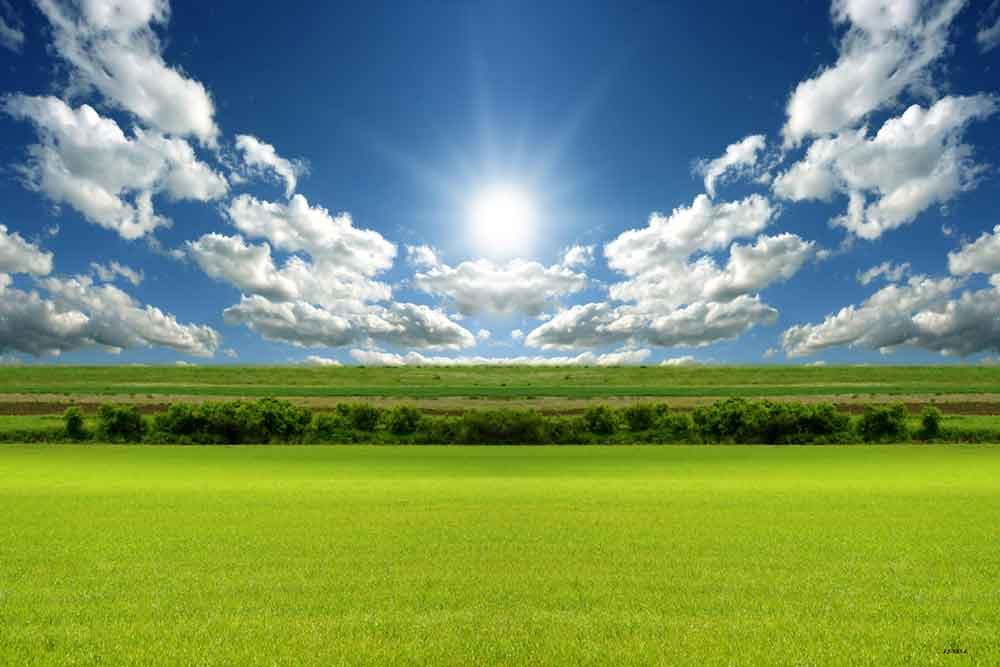 Festival Backdrops Season Background Summer Sky Backdrops X83-E