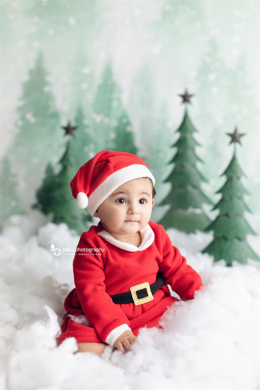 Toile de Fond de Sapins Neige Bébé Photographie Zg-71
