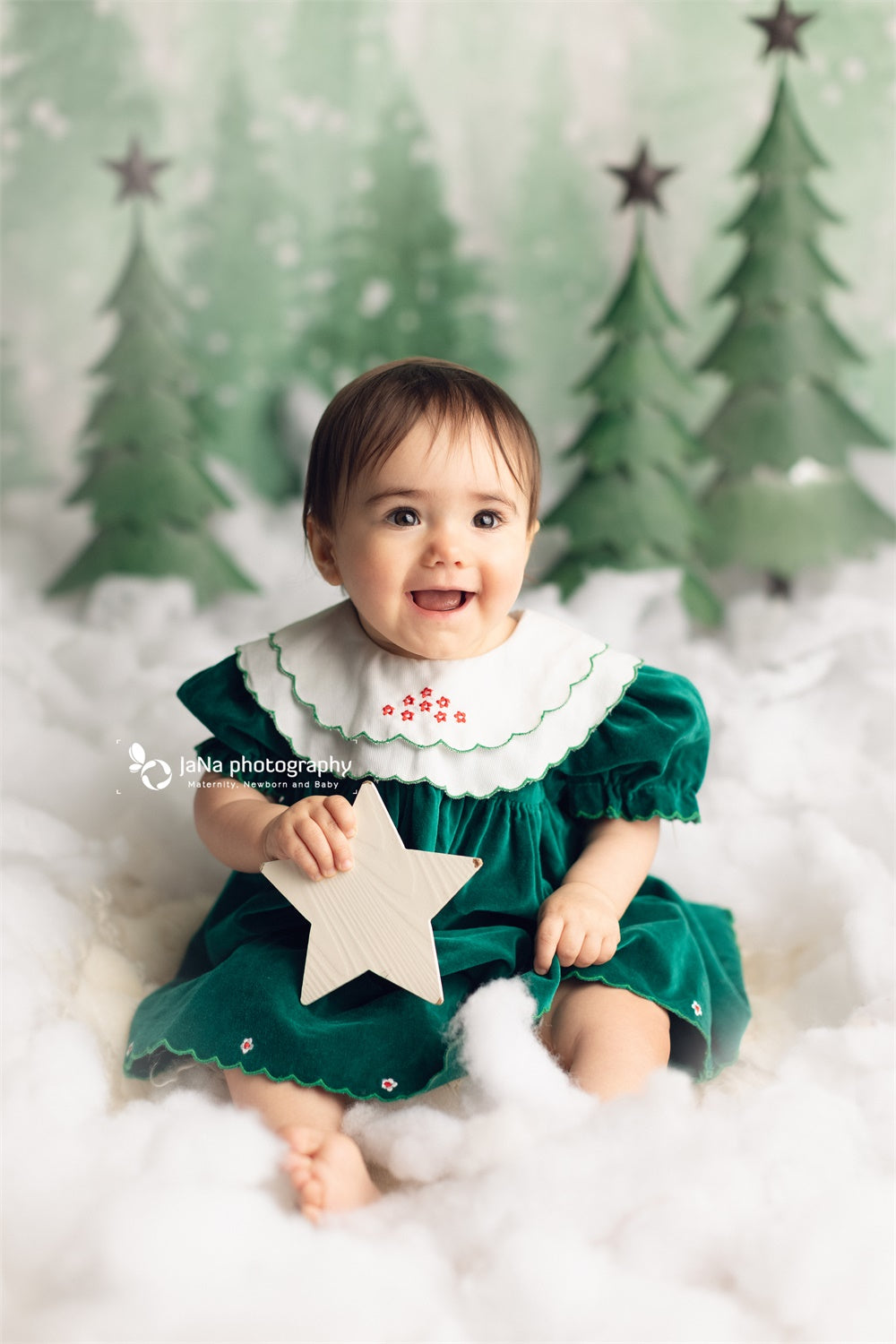 Toile de Fond de Sapins Neige Bébé Photographie Zg-71