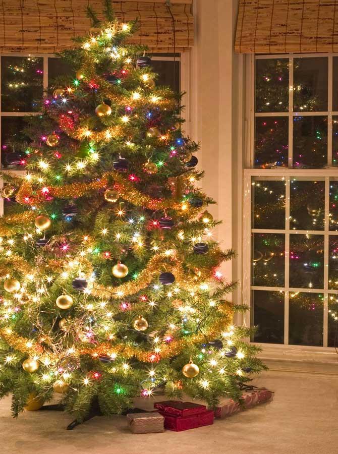Toile de Fond Fenêtre d'Arbre de Noël Lumineux de Photomaton KAT-83
