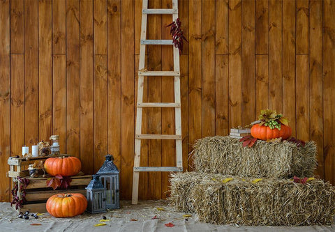 Halloween Backdrops Farm Backdrop Harvest Season Background IBD-H19076