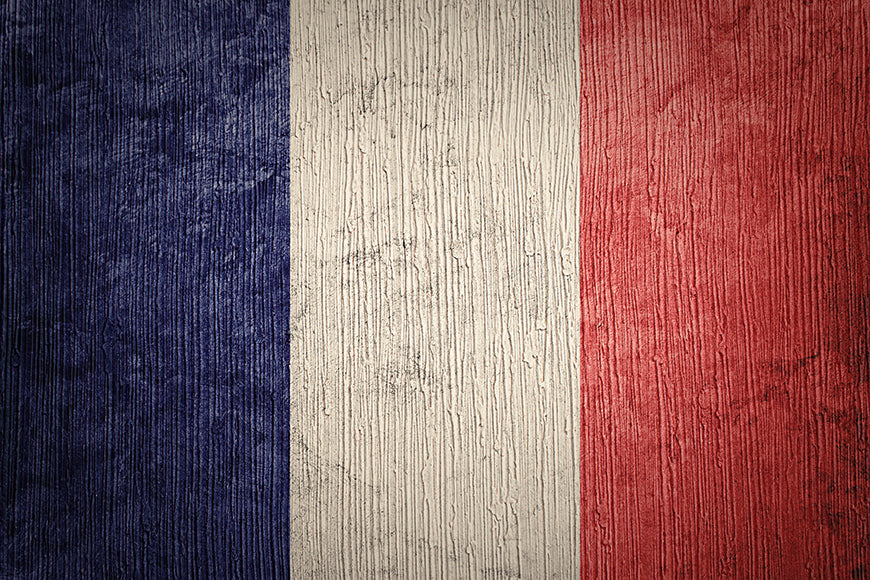 Toile de Fond de Mur en Bois de Drapeau National de France Vintage pour la Photographie