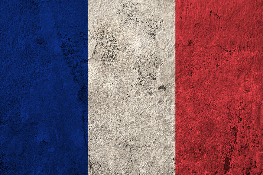 Art Ink Pointillé France Drapeau National Mur Photographie Toile de Fond
