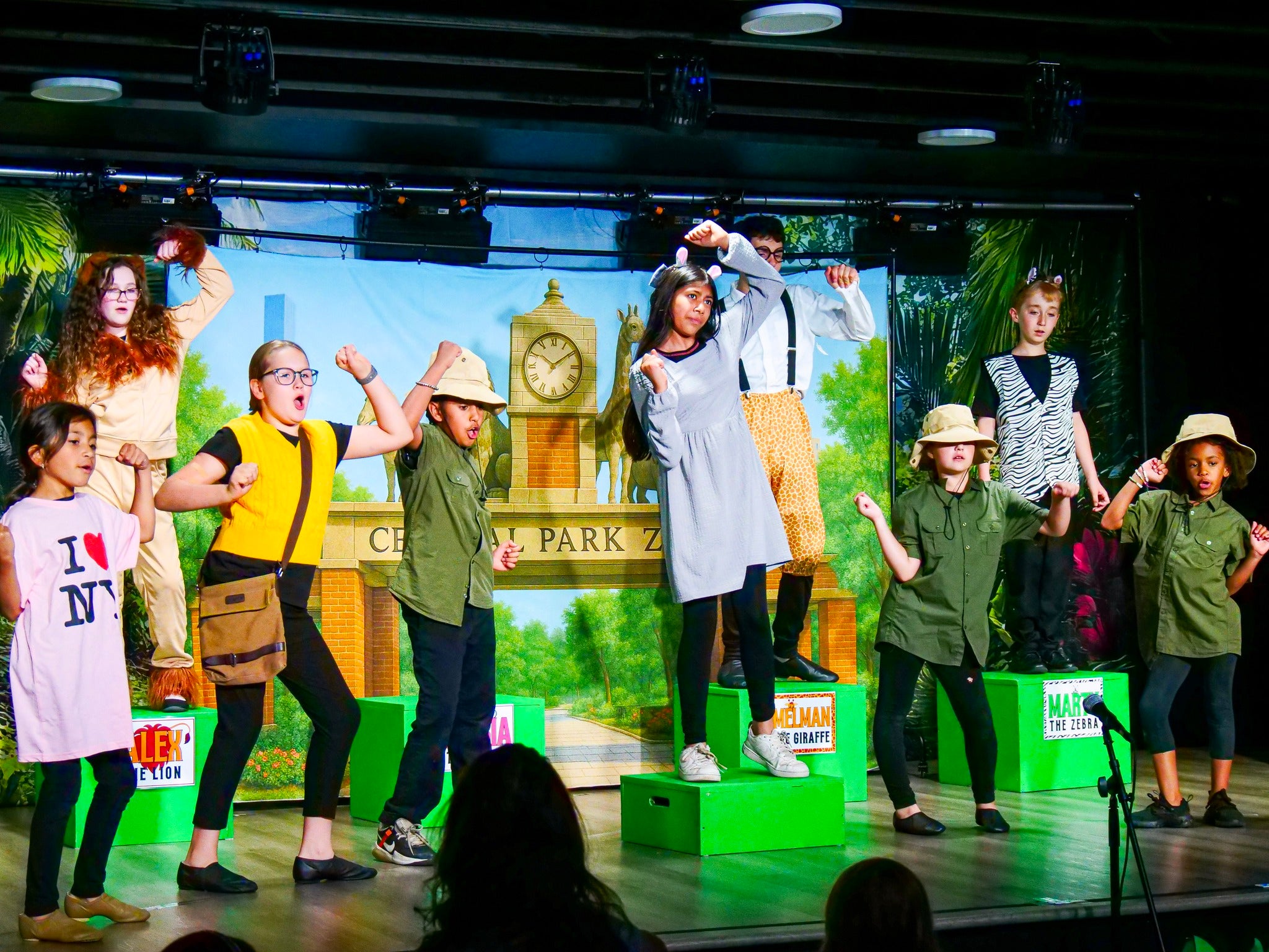 Toiles de fond de théâtre personnalisées CT1