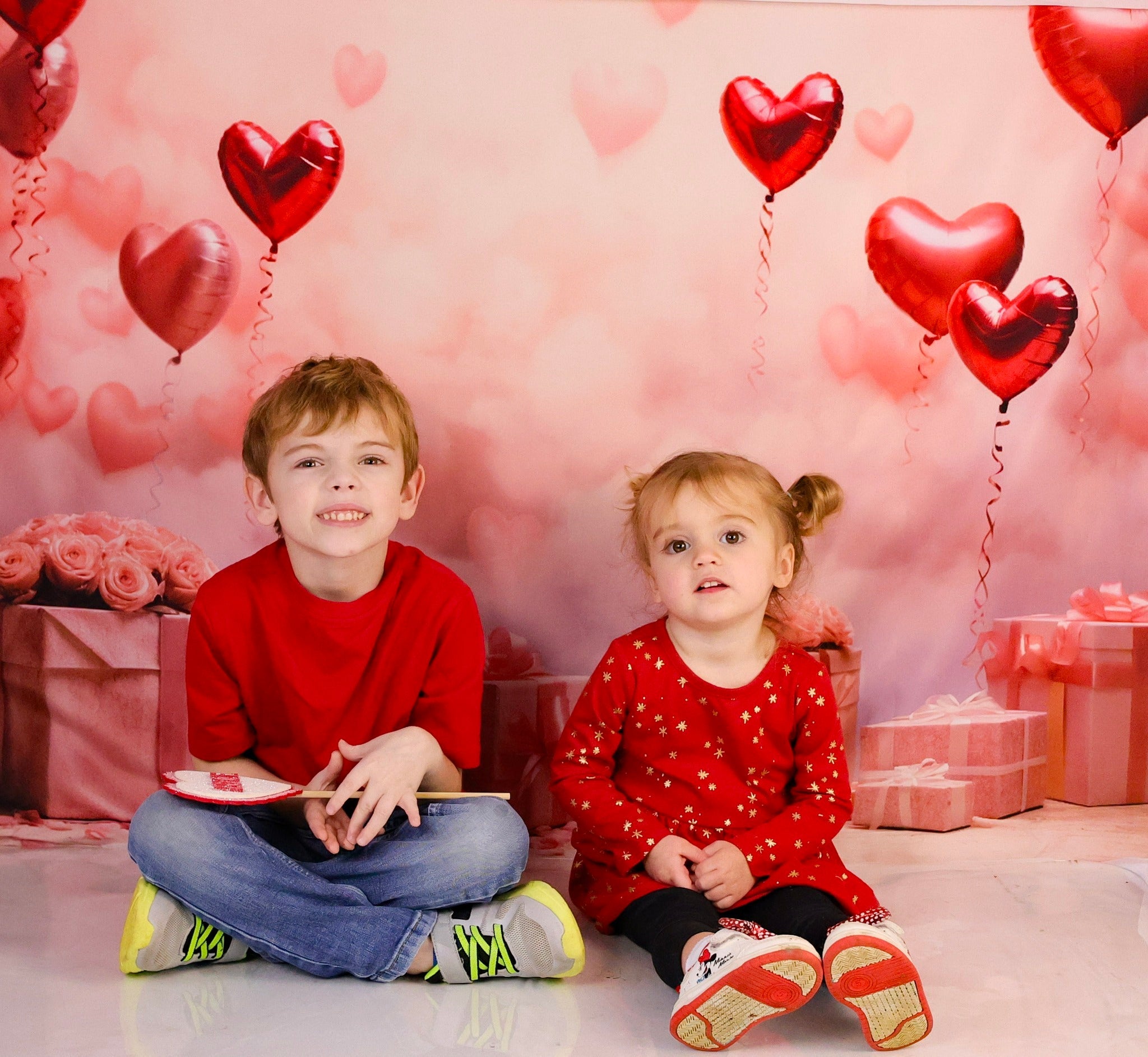 Toile de fond Saint-Valentin Ballons Cœur Romantiques Cadeaux Photographie MRR9-86
