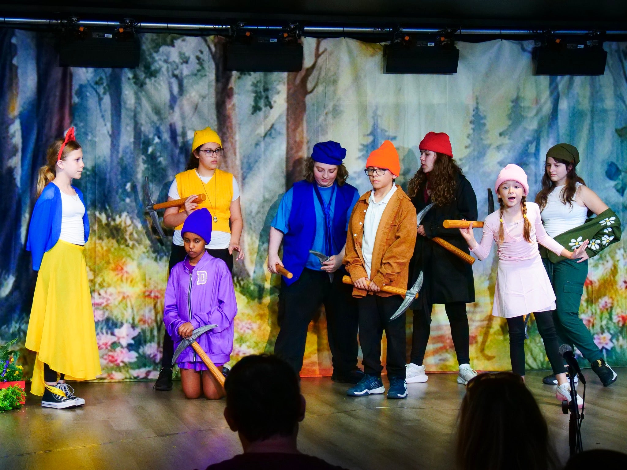 Toiles de fond de théâtre personnalisées CT1