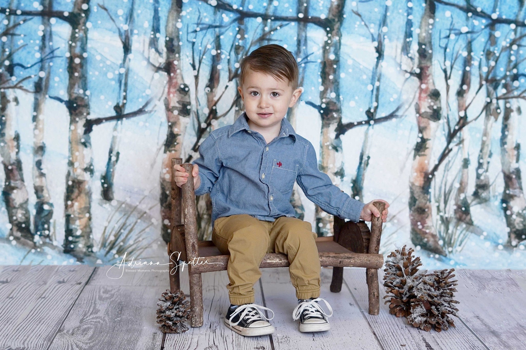 Toile de fond forêt hivernale Toile de fond forêt enchantée arbres enneigés MRR10-35