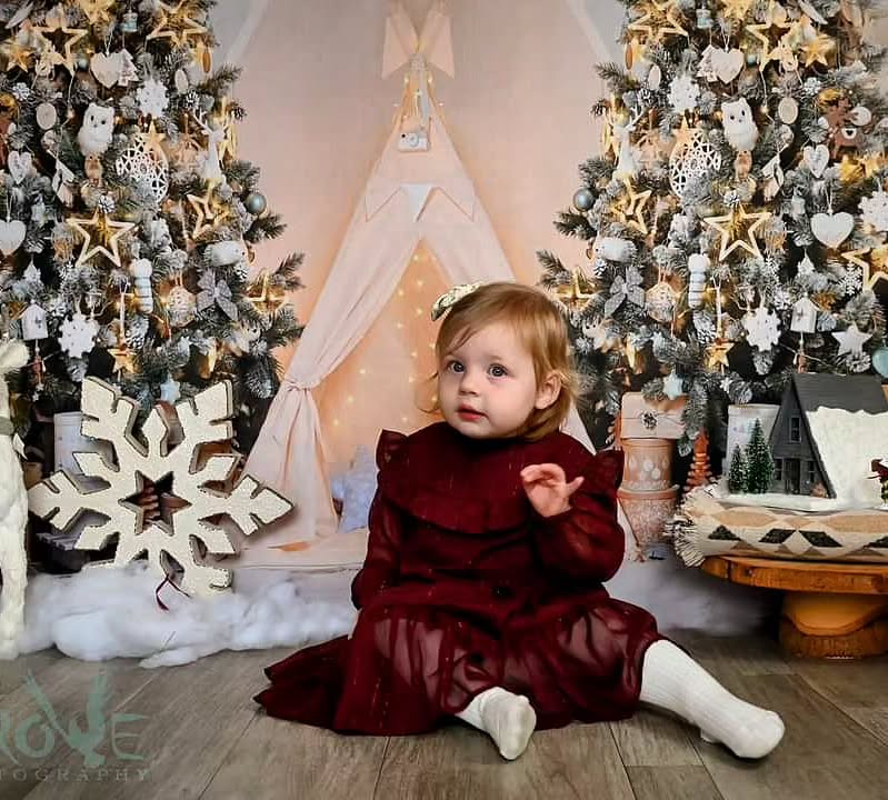 Toile de fond de photographie de petite tente d'arbre de Noël D984