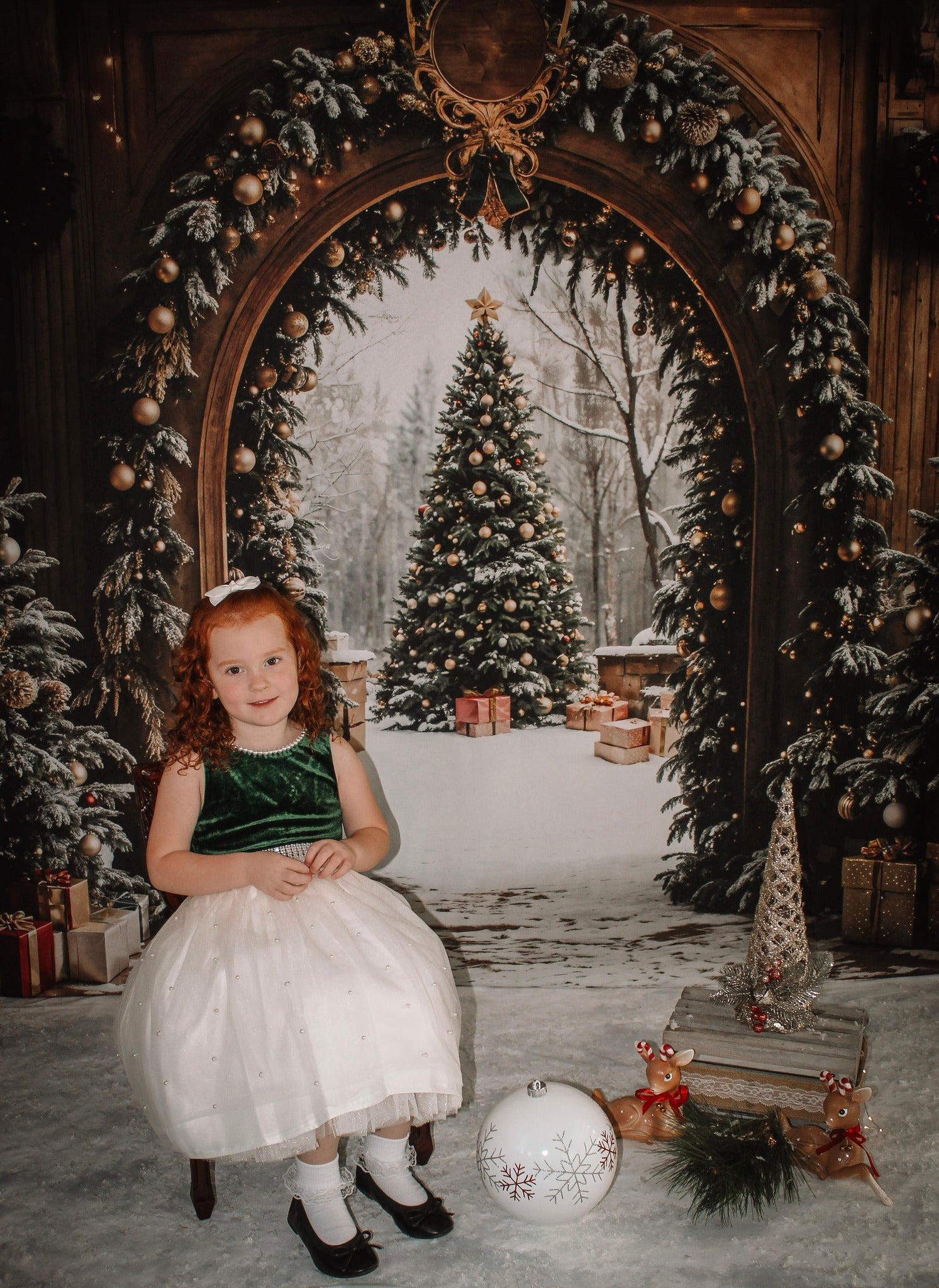 Toile de fond Arbre de Noël Forêt Enneigée Arche Porte Noël Photo MRR9-77