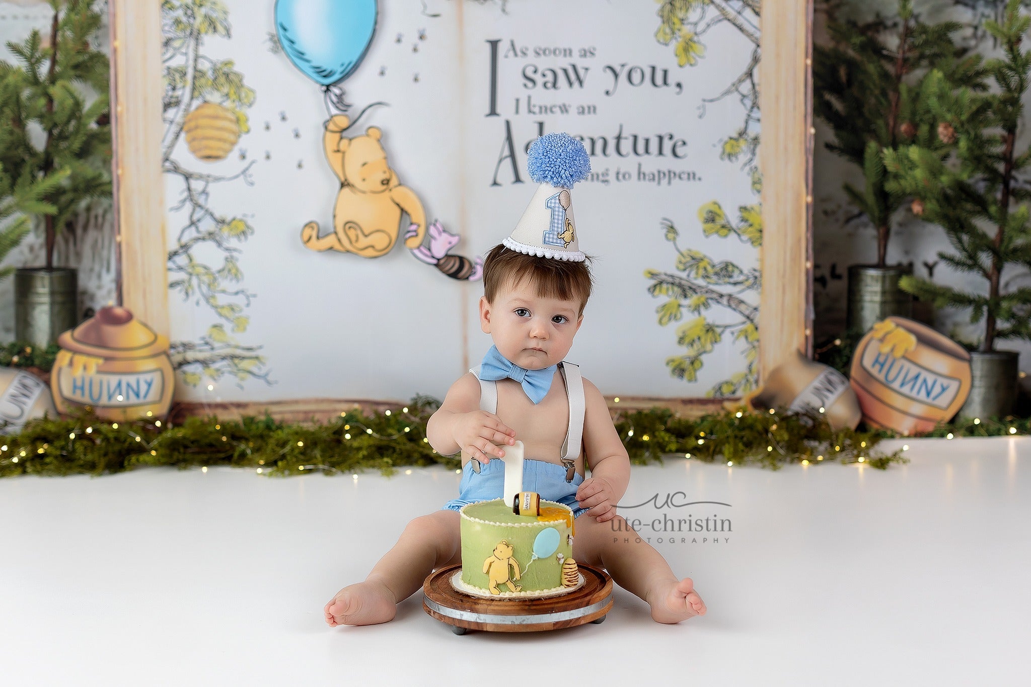Toile de fond Smash Cake Winnie Ballon Forêt Citation 1er Anniversaire MRR9-63