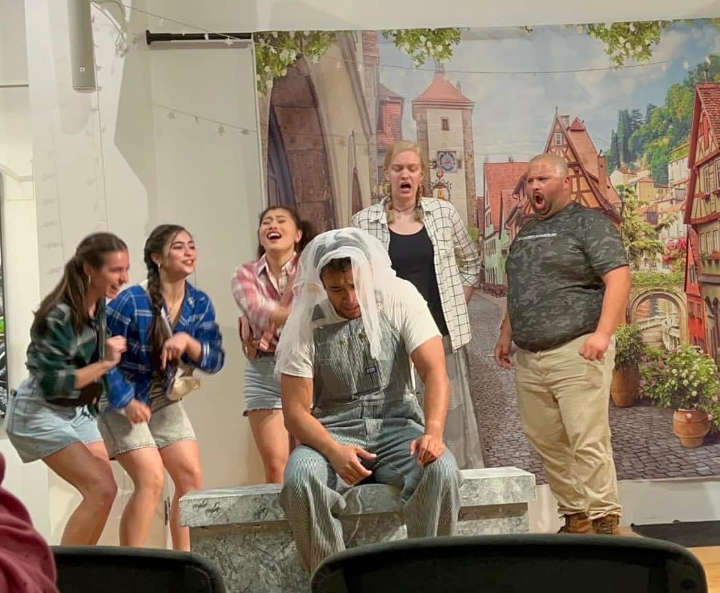 Toile de fond de Belle ville Fleur de printemps pour la photographie G-601