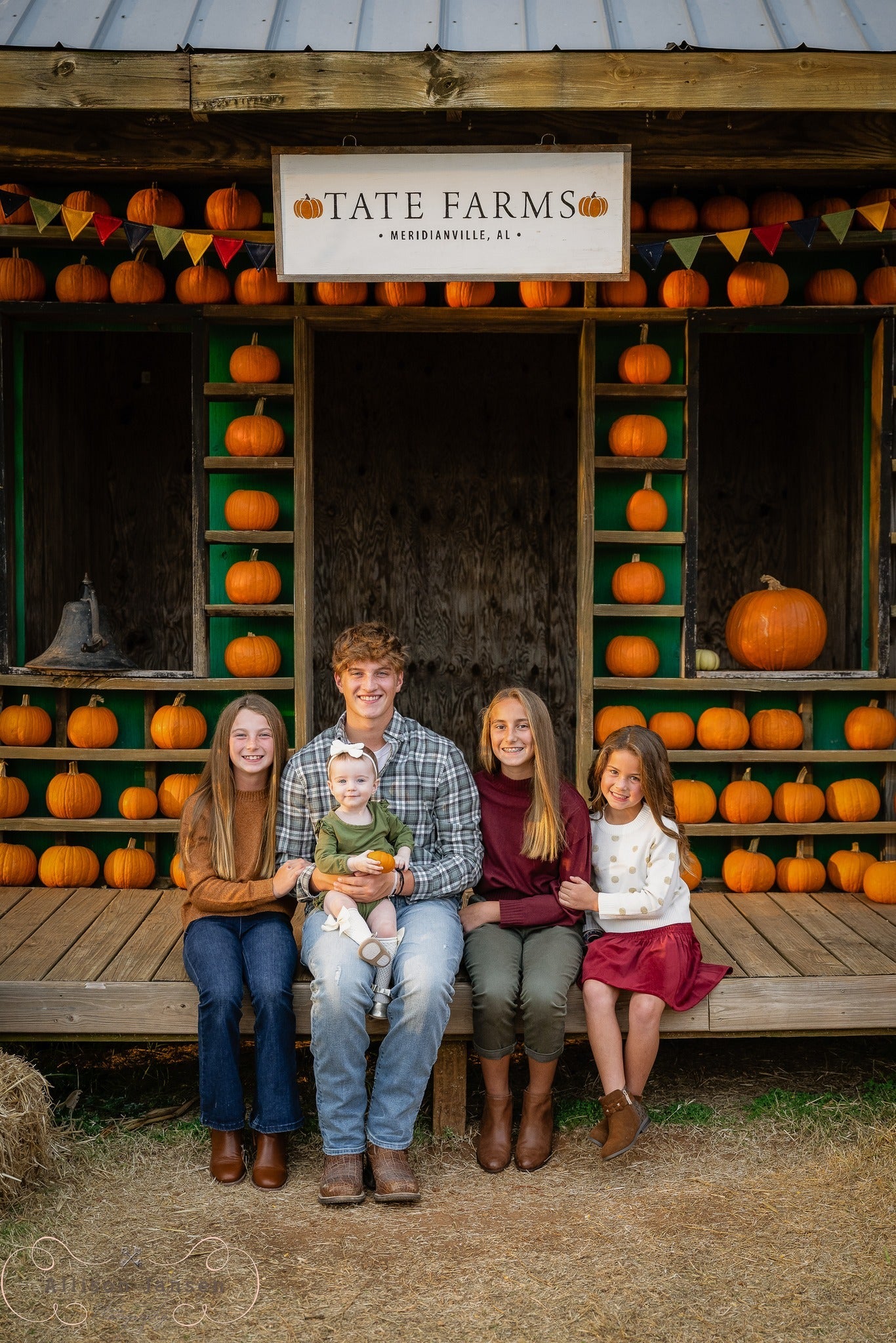 Toile de fond Automne Ferme Citrouilles Rustique Décor Automnal Photo MRR9-100