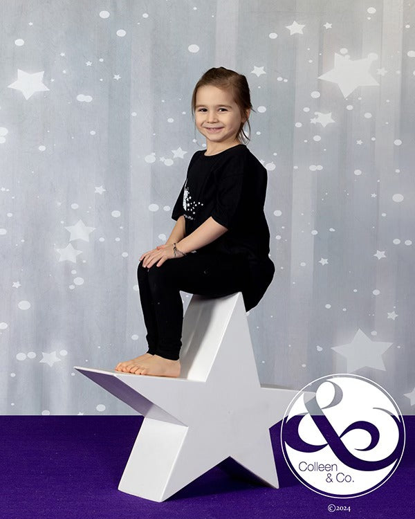 Toile de fond brillante d'étoiles grises brillantes Photo Studio GC-105