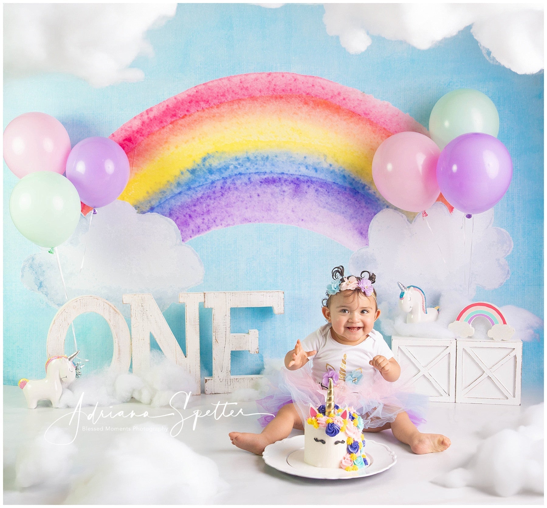 Fond pour cake smash « Ciel arc-en-ciel coloré » Fonds d'anniversaire MRR10-18