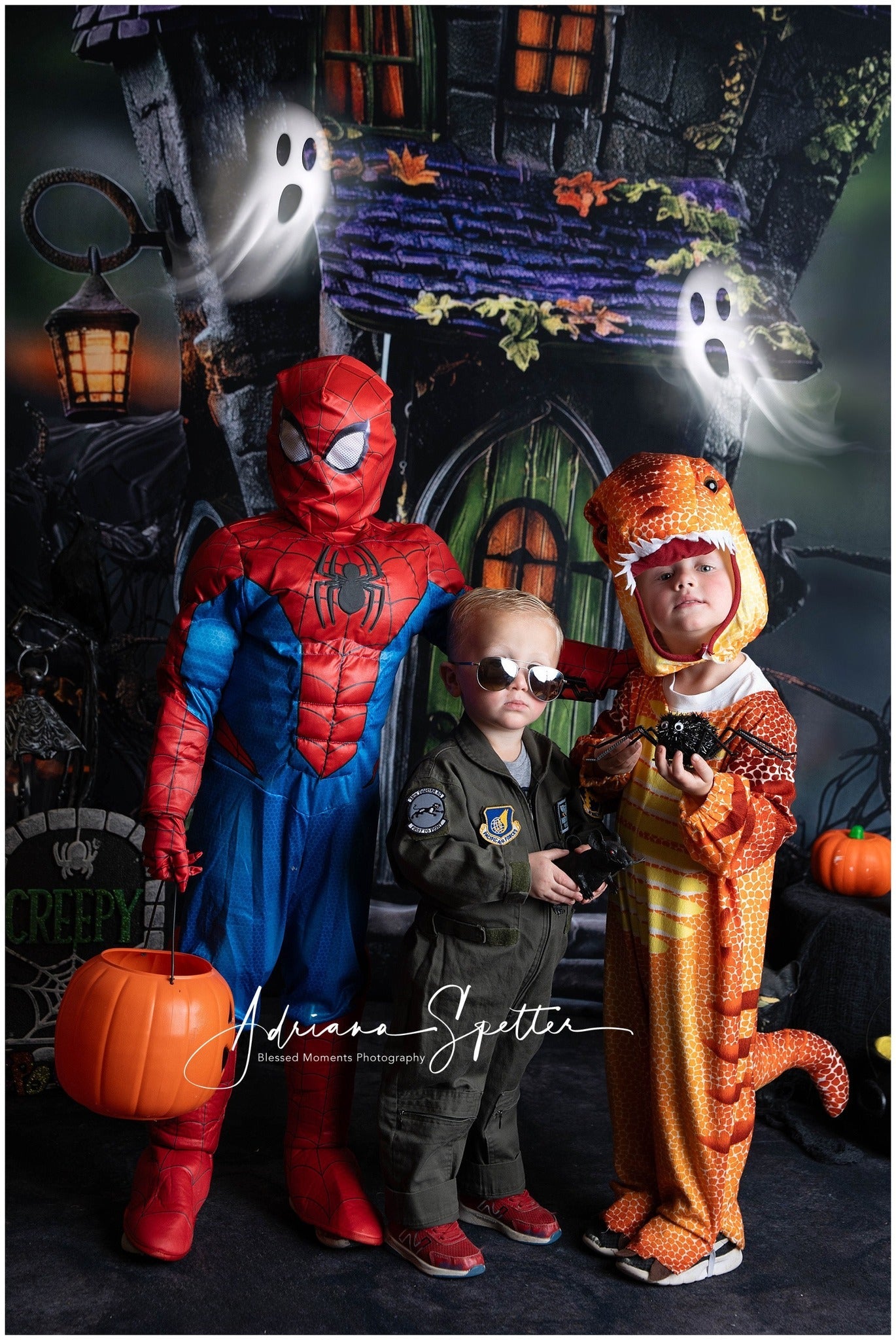 Toile de fond Halloween Maison Hantée Porte Verte Lumières Halloween MRR9-131