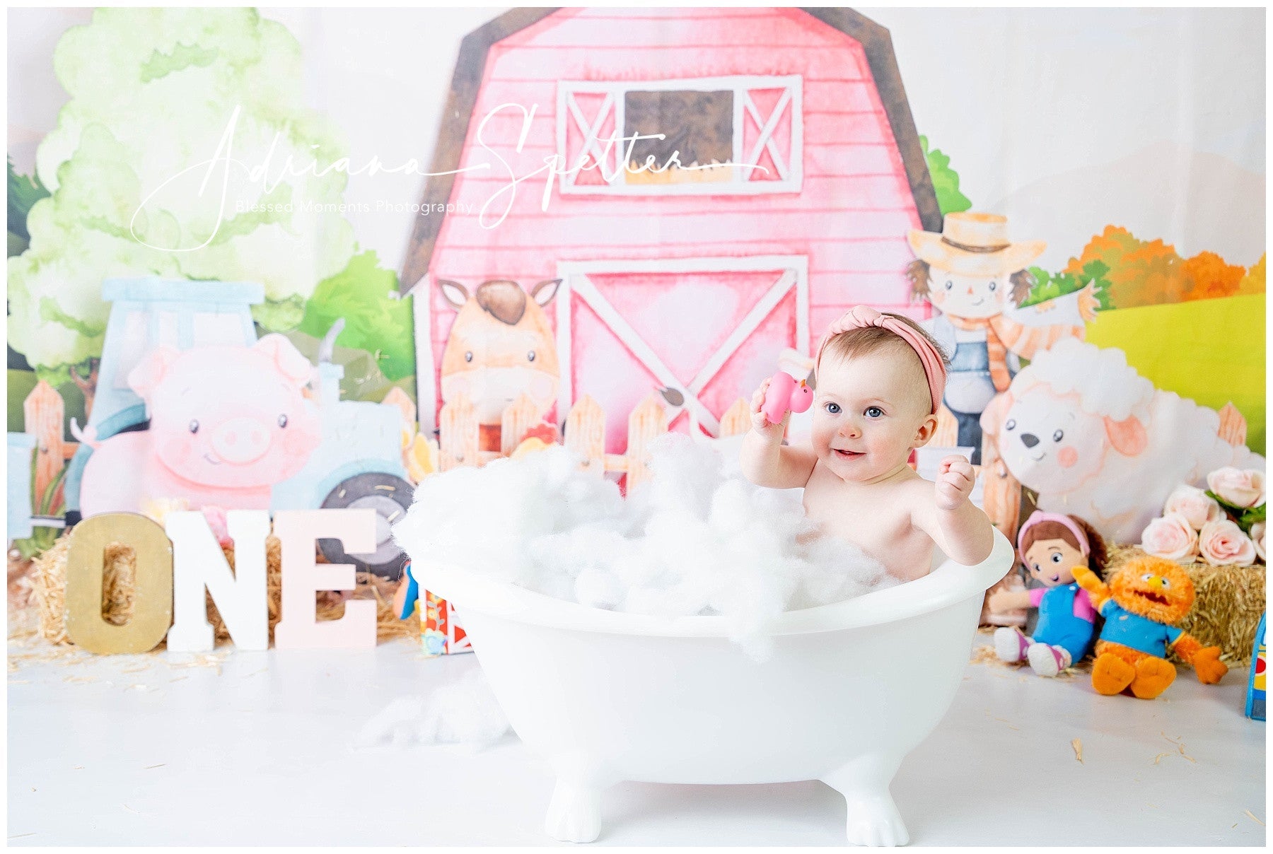 Toile de fond Enfants Ferme Animaux de Dessin Animé Grange Nouveau-né MRR9-125