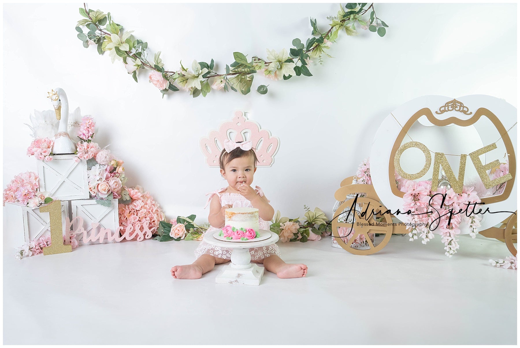 Toile de fond Smash Cake Princesse Cygne Carrosse 1er Anniversaire MRR9-119