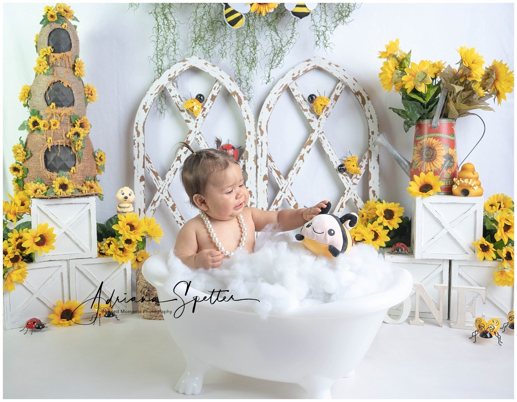 Toile de fond Enfants Jardin Rustique Tournesols Nouveau-né Photo MRR9-112