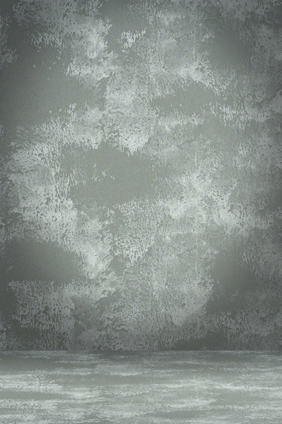 Toile de fond Portrait Gris Texture Sombre Mur BRP-11-617