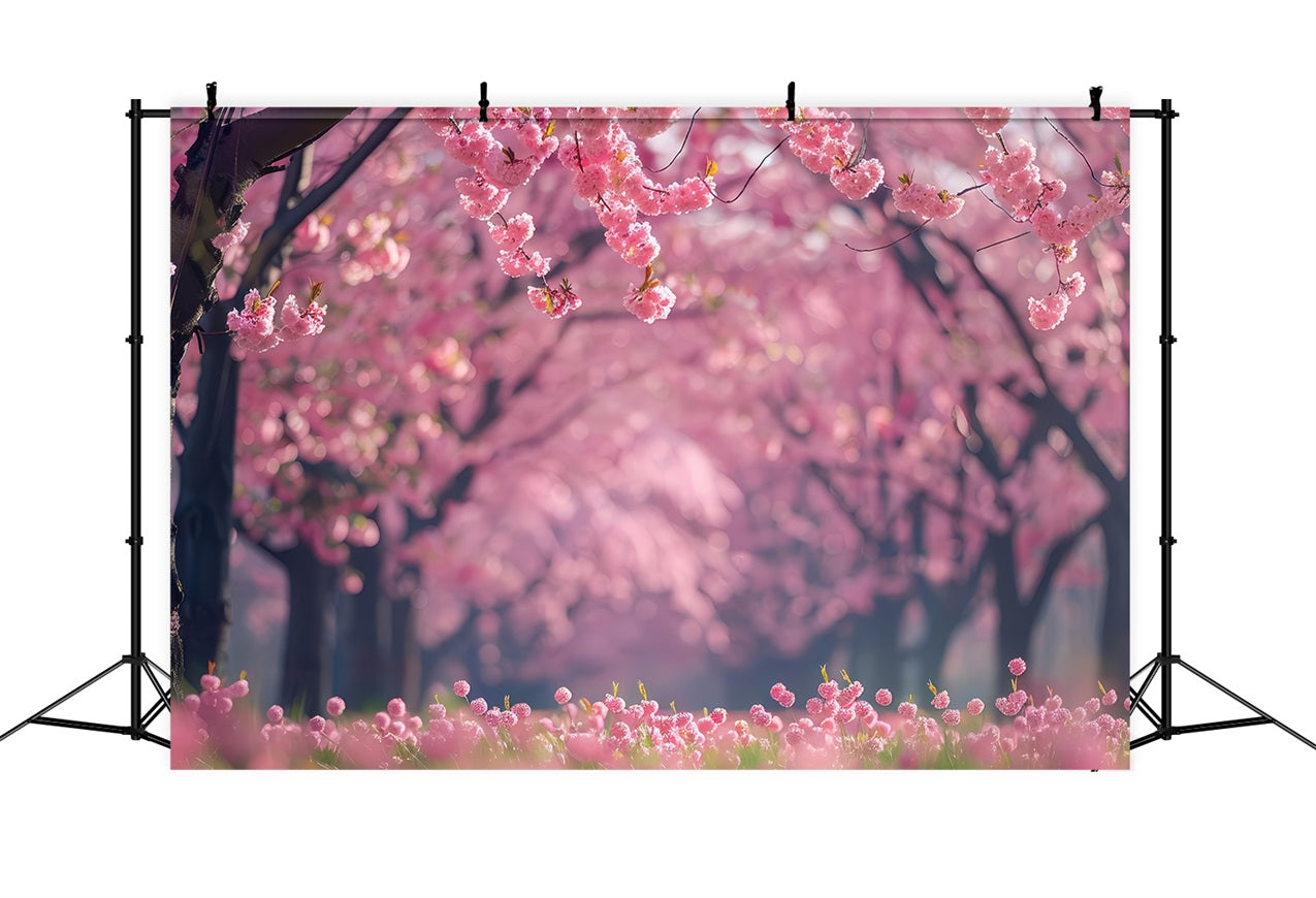 Toile de fond Florale Allée de Cerisiers en Fleurs BRP1-519