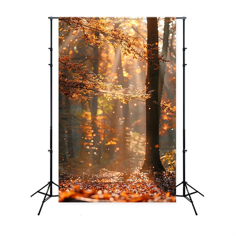 Automne Toile de Fond Forêt Rayons de Soleil Scintillants BRP10-263